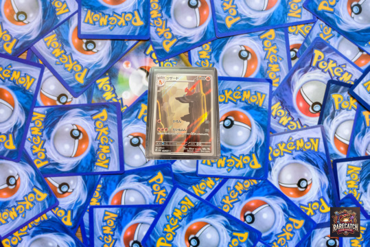 Charmeleon - JP 151