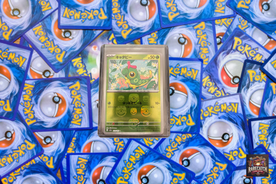 Caterpie Master Ball Holo - JP 151
